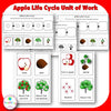 Apple Life Cycle Unit of Work