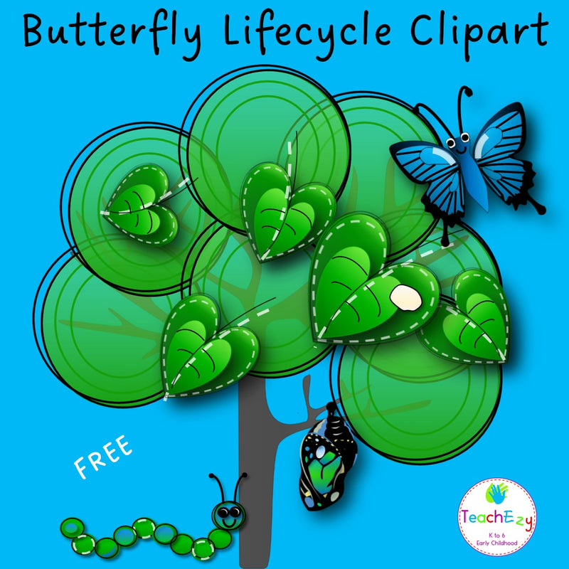 Butterfly Life Cycle Clip Art